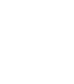 Platinum Executive Education